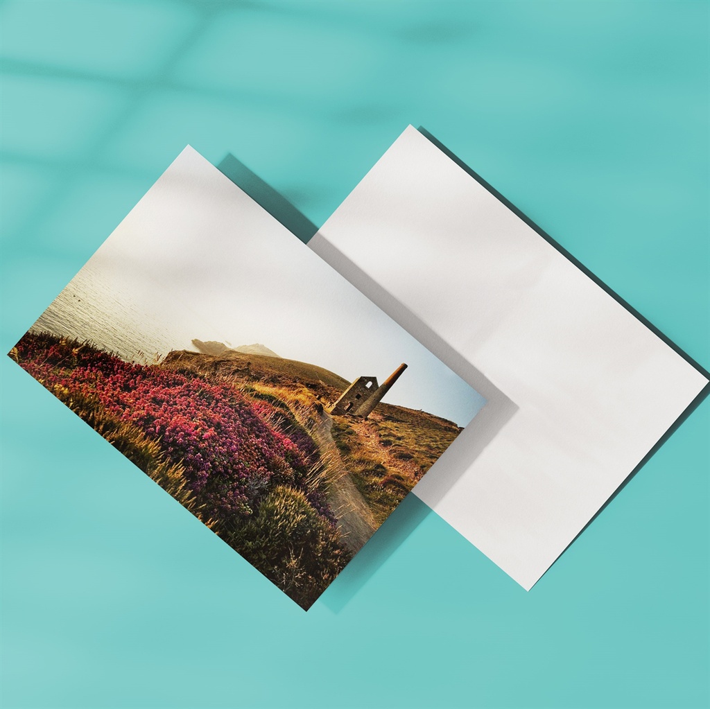 Postales 5'' x 7'' - 1 lado